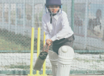 GD_Cricket